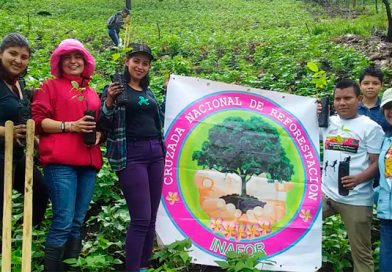 Matagalpa realizó jornada de reforestación en saludo al 40 aniversario de la revolución