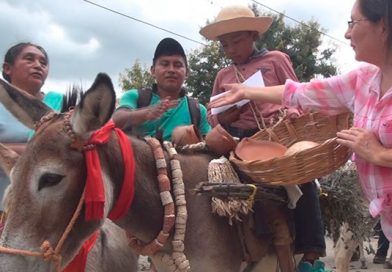 Nueva Segovia: Mozonte cierra sus fiestas patronales con un pintoresco desfile hípico de burros