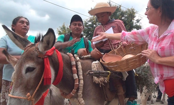 Nueva Segovia: Mozonte cierra sus fiestas patronales con un pintoresco desfile hípico  de burros
