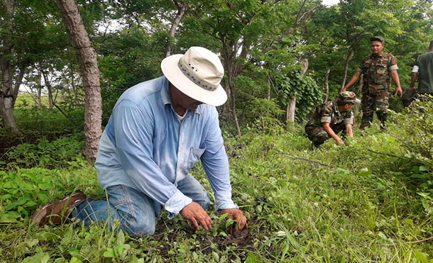 INAFOR realiza Cruzada Nacional de Reforestación en Juigalpa, Chontales