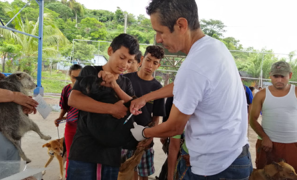 Inicia jornada de vacunación canina en Matagalpa