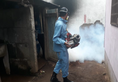 Llega jornada de fumigación al barrio Alemania Democrática