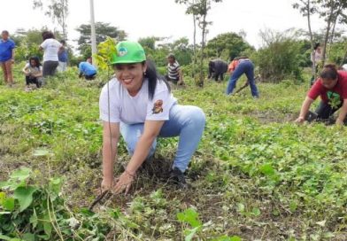 Jóvenes ambientalistas sembrarán 100 mil árboles en saludo al 40 aniversario de la revolución
