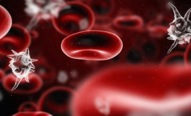 ¿Qué es la sepsis? 10 señales de qué podrías sufrirla. Foto: webconsultas