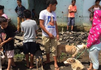 Ministerio de Salud inicia en Managua jornada de vacunación canina