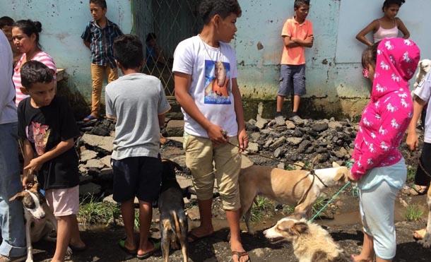 Ministerio de Salud inicia en Managua jornada de vacunación canina 