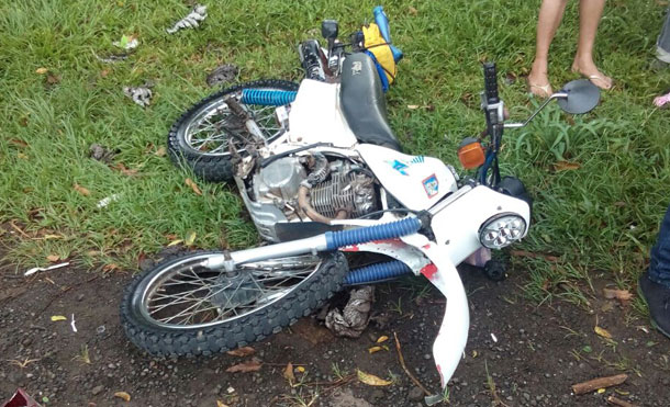 Foto Referencia: Equipo técnico de investigación de accidentes verificó que Luis Mario López, de 51 años, conducía a exceso de velocidad, camión placa NS 7384, con dirección de este a oeste, perdió el control e impactó con árbol