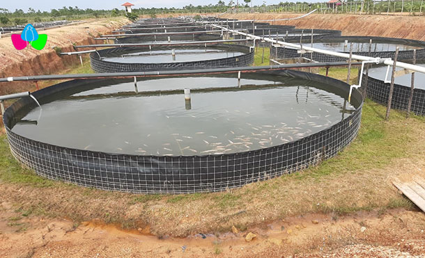 Foto Cortesía: Con esta inversión se ratifica la confianza de los empresarios del sector pesquero, en el Gobierno Sandinista y las facilidades que brinda para desarrollar las inversiones.