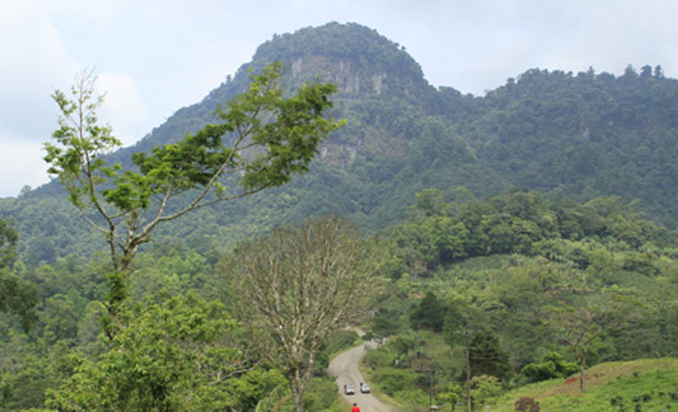 Foto Cortesía: Informe sobre deslizamiento en el Macizo de Peñas Blancas, Municipio Tuma La Dalia