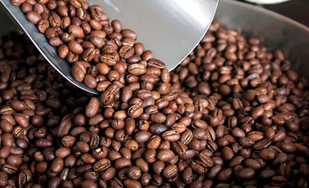 Foto Referencia // Se implementará el Plan de Atención a Pequeños Productores de Café