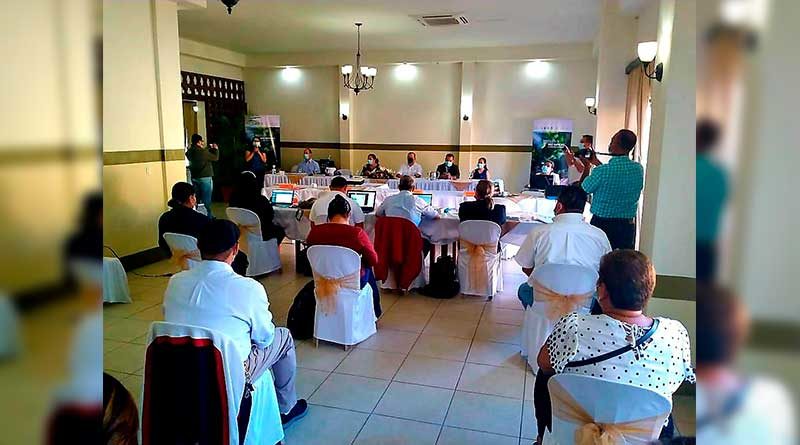 Mesa de Presidio y Asistentes en la Primera Reunión del Comité Directivo 2021.