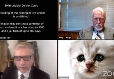 Captura de pantalla de audiencia virtual con filtro de gato