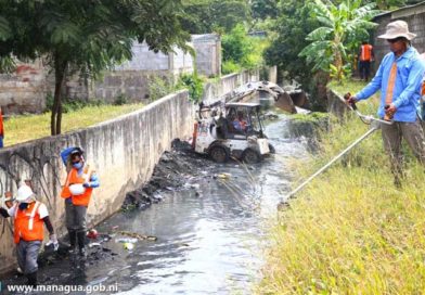 Trabajadores de la Alcaldía de Managua realizan obras de limpieza en cauces de la capital