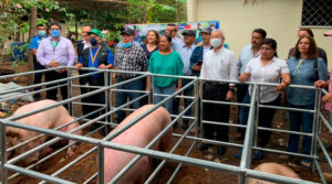 Autoridades el INTA junto a representantes de la embajada de Taiwán en Nicaragua, inaugurando la granja de mejoramiento genético porcino en Juigalpa, Chontales