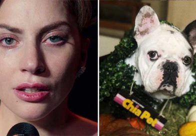 Lady Gaga y uno de sus perritos