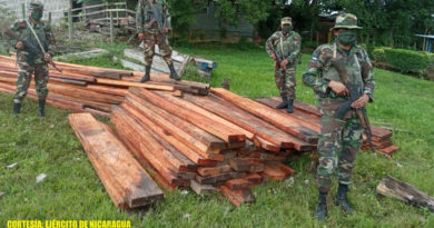 Efectivos militares del Ejercito de Nicaragua con la madera ocupada