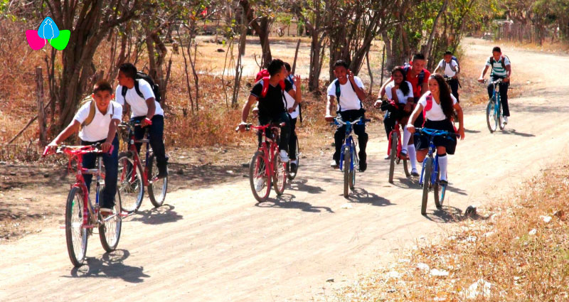 Estudiantes de primaria y secundaria en el campo se dirigen a sus escuelas a bordo de sus bicicletas.