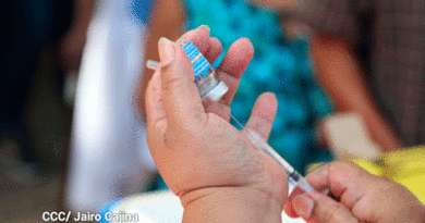 Ampollas de vacunas lista para ser aplicadas