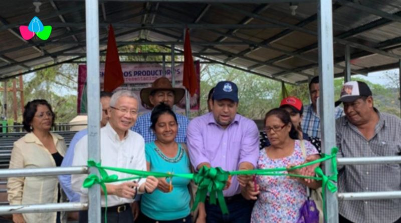 Productores, funcionarios del INTA y de la Embajada de Taiwán en Nicaragua, durante la inauguración en el Centro de Mejoramiento Genético de Muy Muy, Matagalpa.