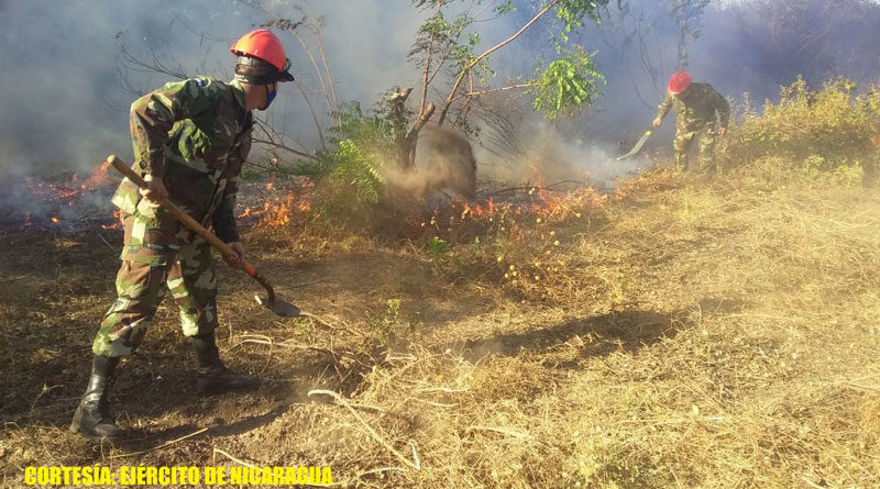 Soldados del Ejército de Nicaragua sofocando incendio forestal