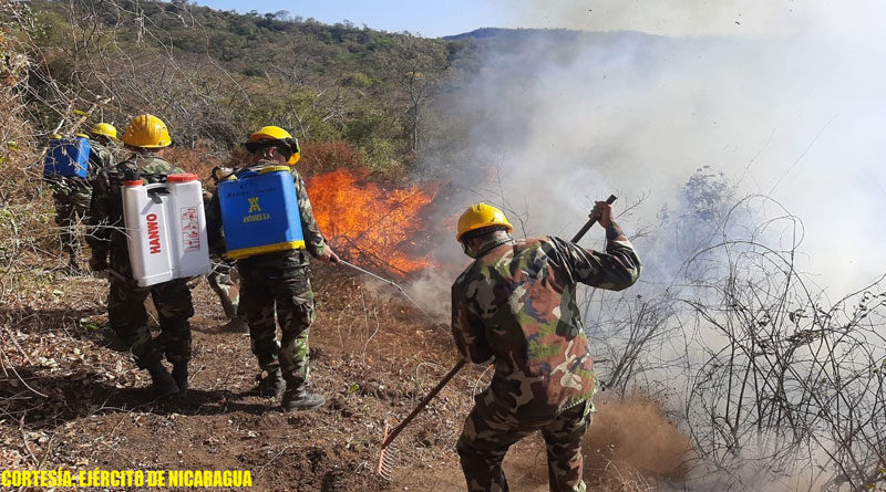 Efectivos militares del Ejército de Nicaragua sofocando incendio forestal en Masachapa