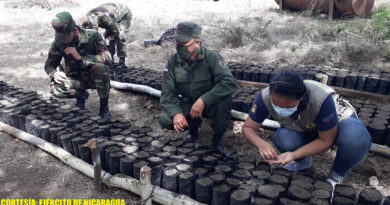 Efectivos militares del Ejército de Nicaragua en el recién inaugurado vivero forestal en el Segundo Batallón