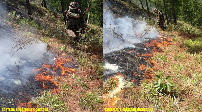 Efectivos militares del Ejército de Nicaragua sofocando incendio forestal en comunidad El Limón, municipio de Jalapa, Nueva Segovia