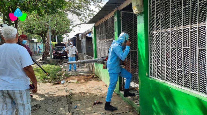 Brigadista del Ministerio de Salud entrando a una vivienda de Villa Libertad en Managua durante la jornada de lucha antiepidémica.