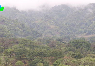 Clima nublado, probabilidad alta de lluvias dispersas en el pacífico y norte de Nicaragua.