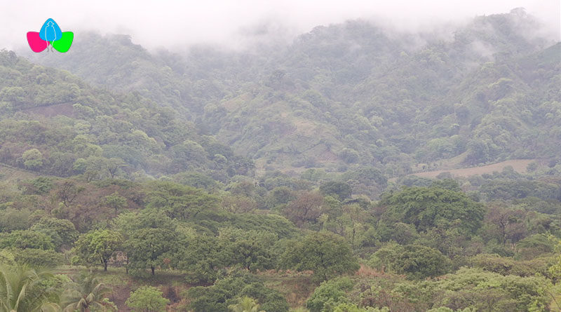 Clima nublado, probabilidad alta de lluvias dispersas en el pacífico y norte de Nicaragua.