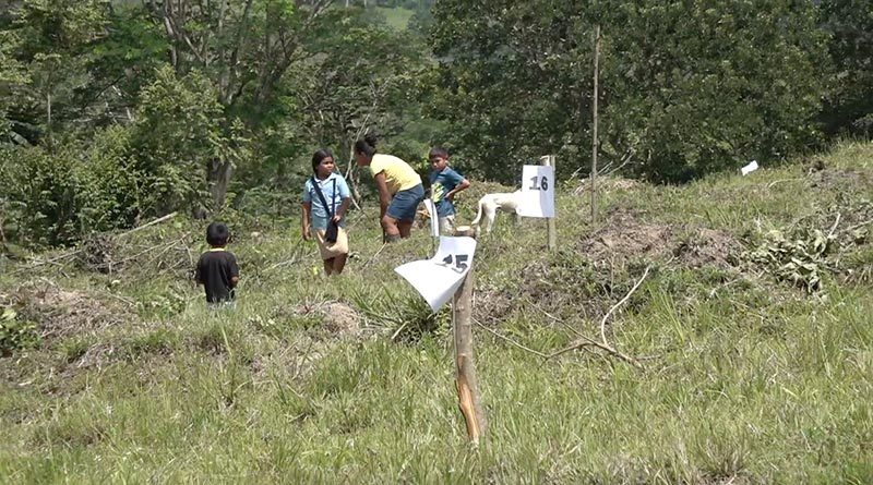 Familias del Macizo de Peñas Blancas durante la entrega de lotes de terrenos donde podrán habitar con mayor seguridad en El Tuma – La Dalia.