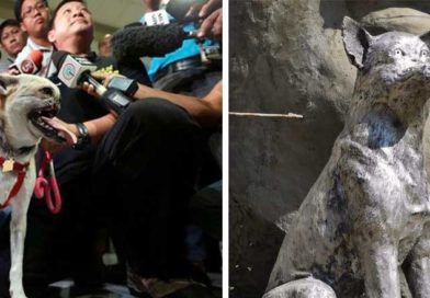 Kabang el perro que perdió su hocico y estatua realizada en su honor