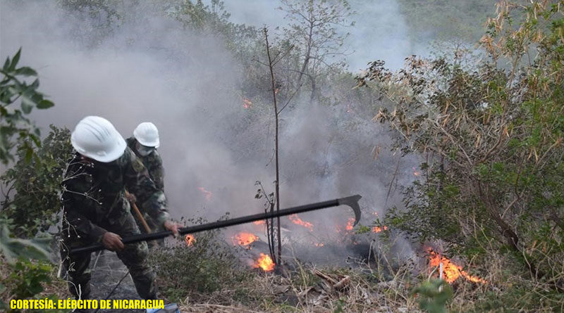 Efectivos militares del Ejército de Nicaragua trabajando en sofocación del incendio cerro Motastepe, ubicado en la comarca Nejapa, departamento de Managua.