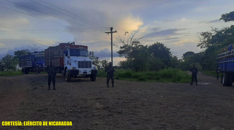 Ejército de Nicaragua ocupa 152 semovientes en Nueva Guinea y el Caribe Sur