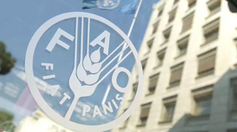 Nicaragua reelecta en consejo de la FAO