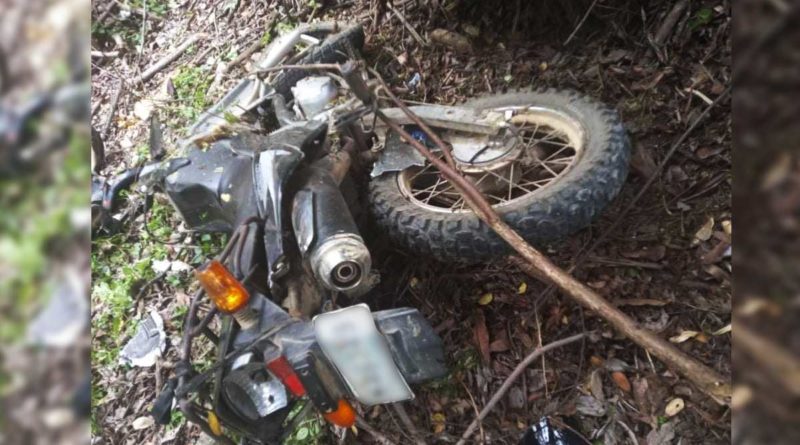 Motocicleta caída tras el impacto contra un árbol