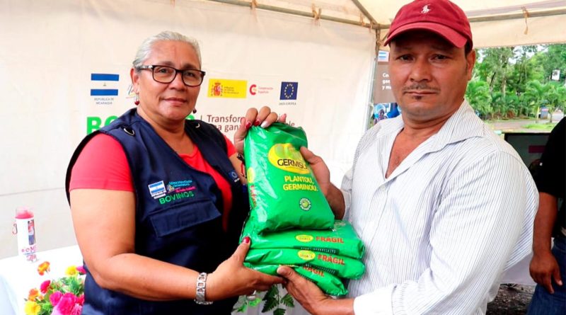 Productor recibiendo semillas para el cultivo de pastos mejorados