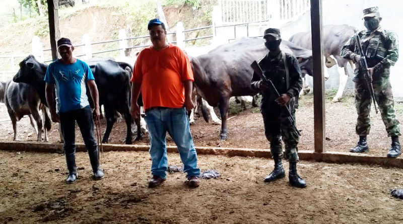 Efectivos militares del Ejército de Nicaragua entregando los semovientes a sus respectivos dueños.