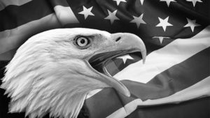 Águila sobre una bandera de Estados Unidos en blanco y negro