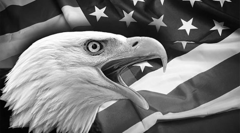 Águila sobre una bandera de Estados Unidos en blanco y negro