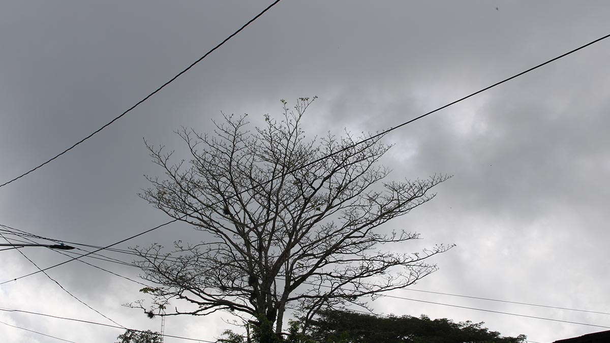 INETER: Lluvias ligeras en diferentes partes del país