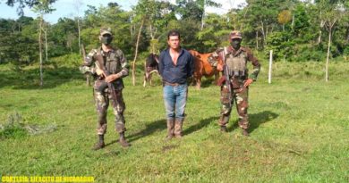 Ciudadano retenido vinculado al abigeato por miembros del Ejército de Nicaragua