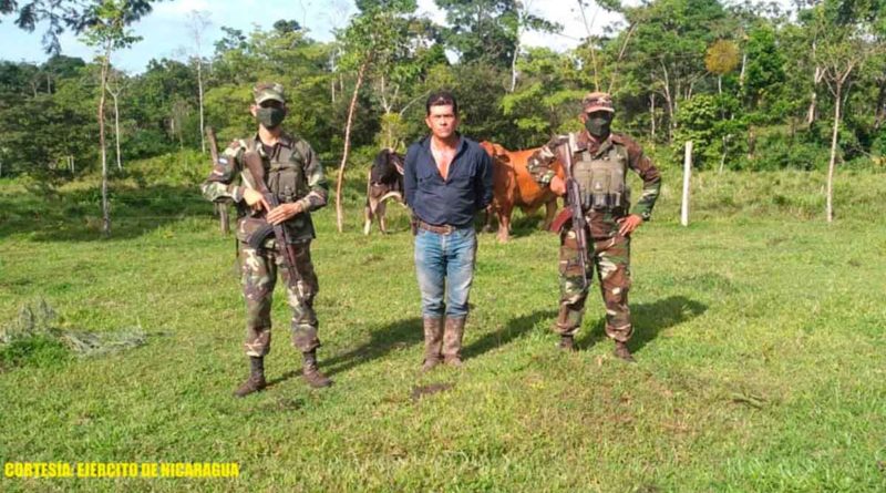 Ciudadano retenido vinculado al abigeato por miembros del Ejército de Nicaragua