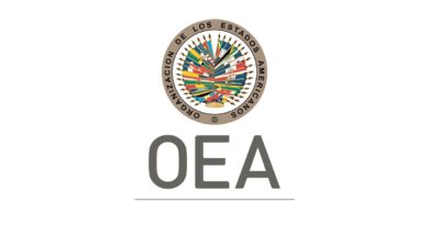 Logo de la Organización de Estados Americanos - OEA