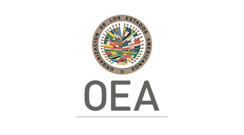 Logo de la Organización de Estados Americanos - OEA