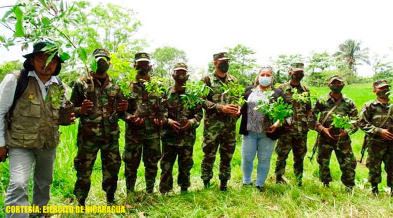 Efectivos militares del Ejército de Nicaragua sembrando árboles en la finca Los Corrales, municipio de El Tortuguero, Región Autónoma de la Costa Caribe Sur.