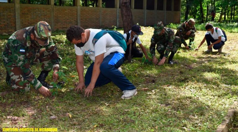 Efectivos militares durante la siembra de plantas en un municipio de Chinandega