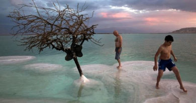 Dos bañistas aprecian un árbol seco en el Mar Muerto