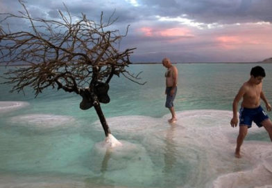 Dos bañistas aprecian un árbol seco en el Mar Muerto