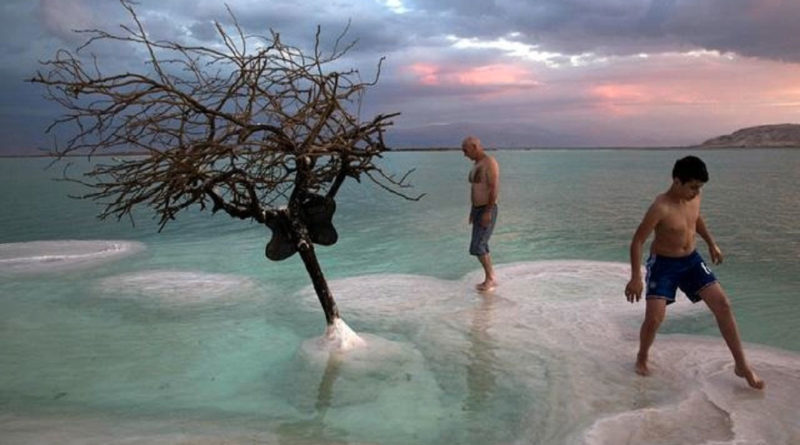 Dos bañistas aprecian un árbol seco en el Mar Muerto